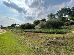 Terreno edificabile in Residenziale