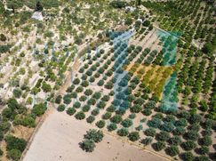 Terreno edificabile in Residenziale