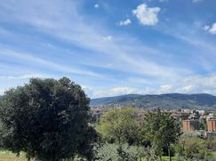 Terreno agricolo in Commerciale