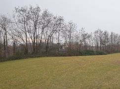 Terreno agricolo in Commerciale