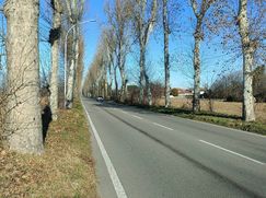 Terreno agricolo in Commerciale