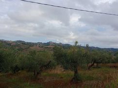 Terreno edificabile in Residenziale