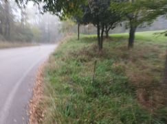 Terreno agricolo in Commerciale