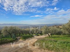 Terreno agricolo in Commerciale