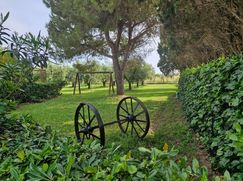 Rustico/Casale in Residenziale