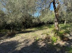 Terreno agricolo in Commerciale