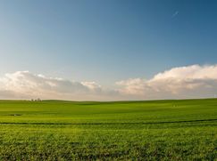 Terreno agricolo in Commerciale