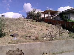 Terreno agricolo in Commerciale