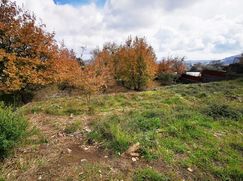 Terreno edificabile in Residenziale