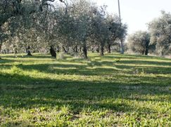 Rustico/Casale in Residenziale