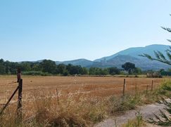 Terreno agricolo in Commerciale
