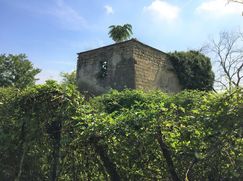Terreno agricolo in Commerciale
