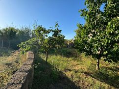 Terreno agricolo in Commerciale
