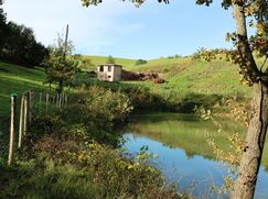 Rustico/Casale in Residenziale