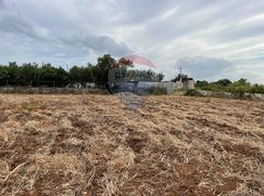 Terreno agricolo in Commerciale