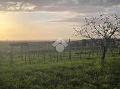 Terreno agricolo in Commerciale