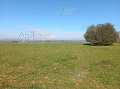 Terreno agricolo in Commerciale