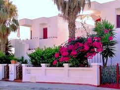 Casa Bi/Trifamiliare in Residenziale