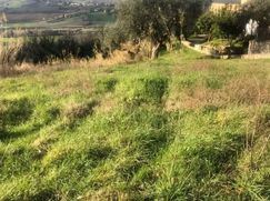 Terreno edificabile in Residenziale