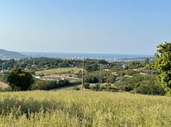 Terreno agricolo in Commerciale