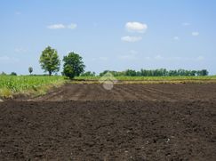 Terreno edificabile in Residenziale