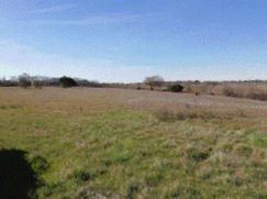 Terreno agricolo in Commerciale
