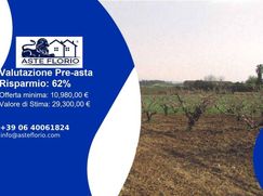 Terreno agricolo in Commerciale