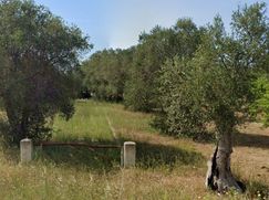 Terreno agricolo in Commerciale