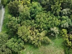 Terreno edificabile in Residenziale