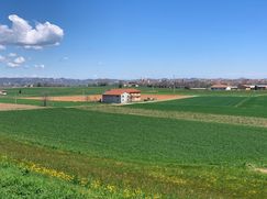 Rustico/Casale in Residenziale