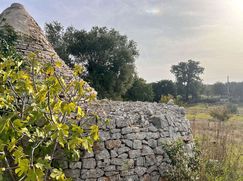 Baita/Bungalow/Chalet/Trullo in Residenziale