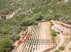 Terreno edificabile in Residenziale