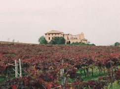Rustico/Casale in Residenziale