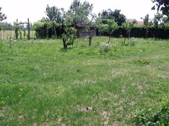 Terreno edificabile in Residenziale