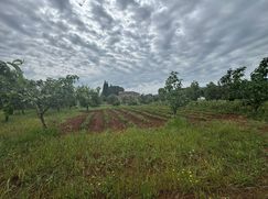 Terreno agricolo in Commerciale