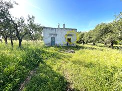 Terreno agricolo in Commerciale
