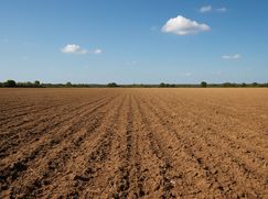 Terreno edificabile in Residenziale