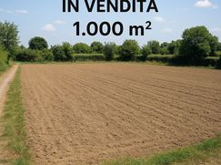 Terreno agricolo in Commerciale