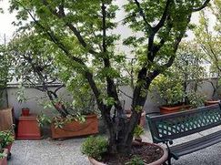 Attico/Mansarda in Residenziale