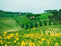 Rustico/Casale in Residenziale