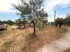 Terreno edificabile in Residenziale