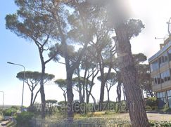 Terreno agricolo in Commerciale