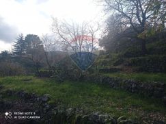 Terreno agricolo in Commerciale