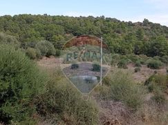 Terreno agricolo in Commerciale