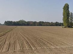 Terreno edificabile in Residenziale