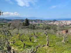 Terreno agricolo in Commerciale
