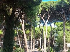 Attico/Mansarda in Residenziale