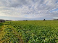 Terreno agricolo in Commerciale