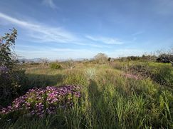 Terreno agricolo in Commerciale