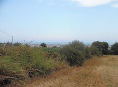 Terreno agricolo in Commerciale